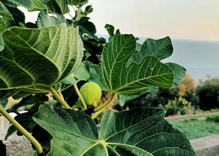 Сasa de vacaciones La Sciuscella Conca dei Marini