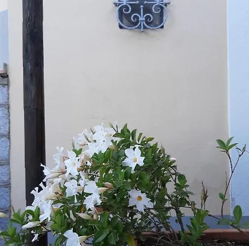 秀塞拉度假屋 度假居 康加德马里尼