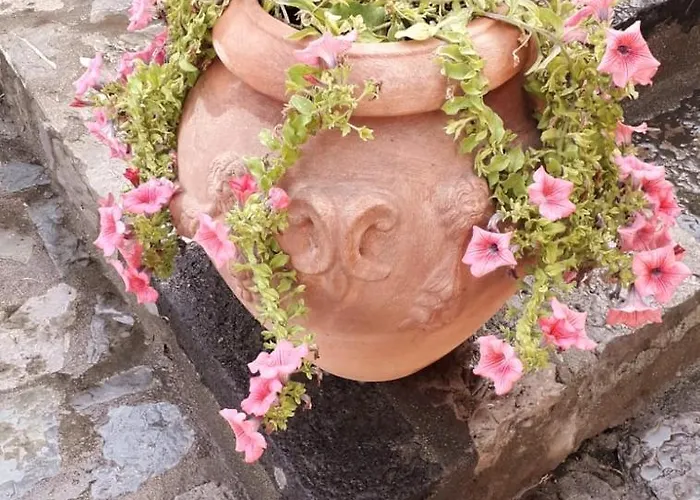 秀塞拉度假屋 * 康加德马里尼